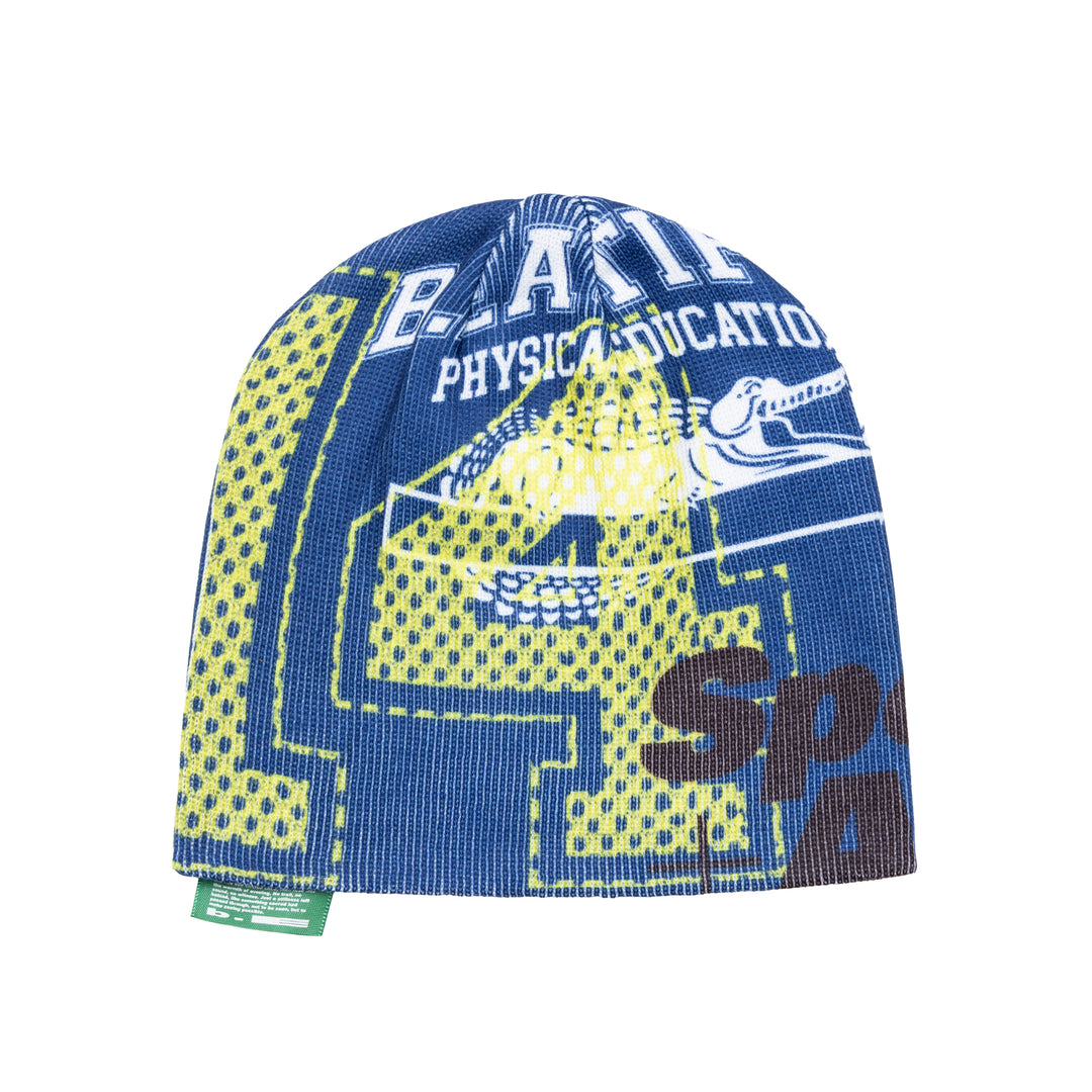 Sports Beanie (Navy)